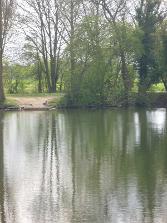 Fishing lake in boston lincolnshire